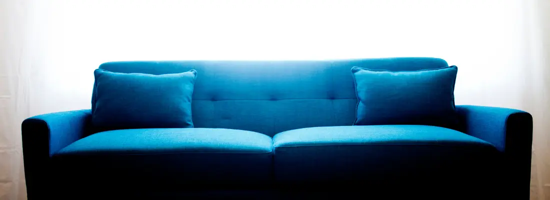 Professional Couch Cleaning Costs